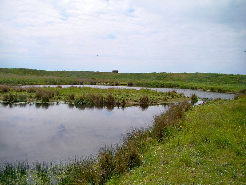 3442_South_Walney_Nature_Reserve.JPG